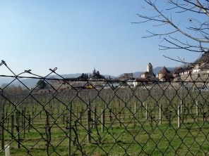 Dürnstein - also a wine-growing region